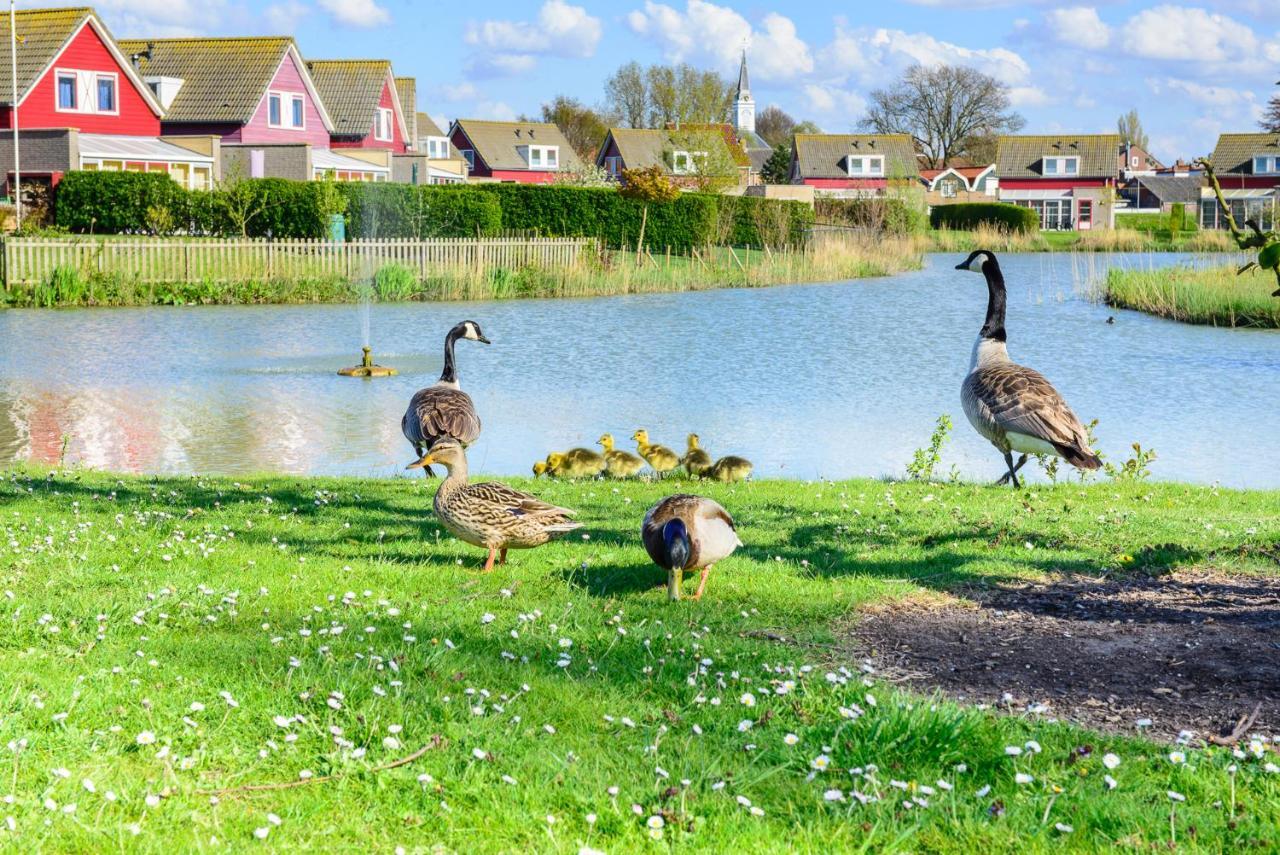 Maxime 292 - Kustpark Village Scaldia Hoofdplaat Eksteriør bilde